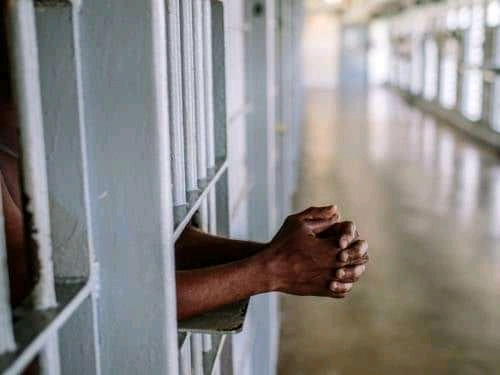 Cult Members Face 21 Years Imprisonment In Lagos | GOVERNMEND