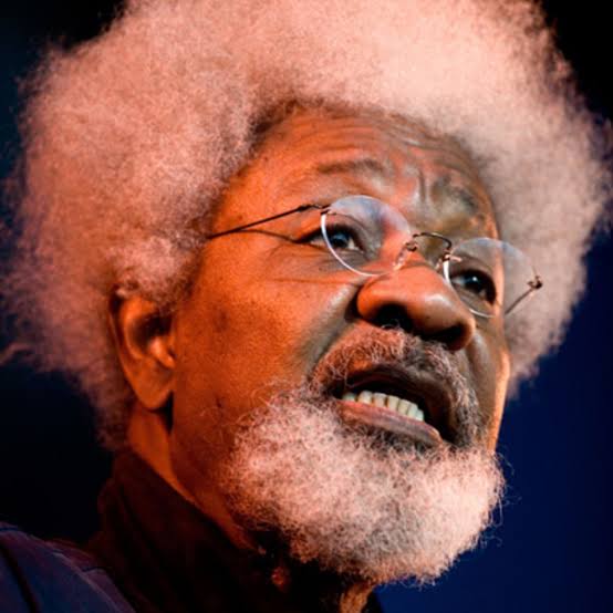Nigeria At War Yet We Continue To Pretend – Wole Soyinka | GOVERNMEND
