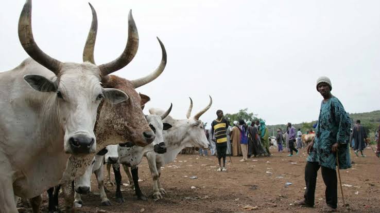 The Impunity Of A Fulani Lord In Lagos – Bolaji Akinyemi | GOVERNMEND