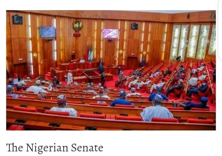 SENATE CONFIRMS BUHARI’S EFCC BOARD NOMINEE WHO STARTED SCHOOL BEFORE BIRTH | GOVERNMEND