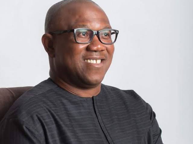 Only Peter Obi And Two Other Candidates Are In The Race To Become The Next President, Consider Others Unserious – Barr. Ali Smart | GOVERNMEND
