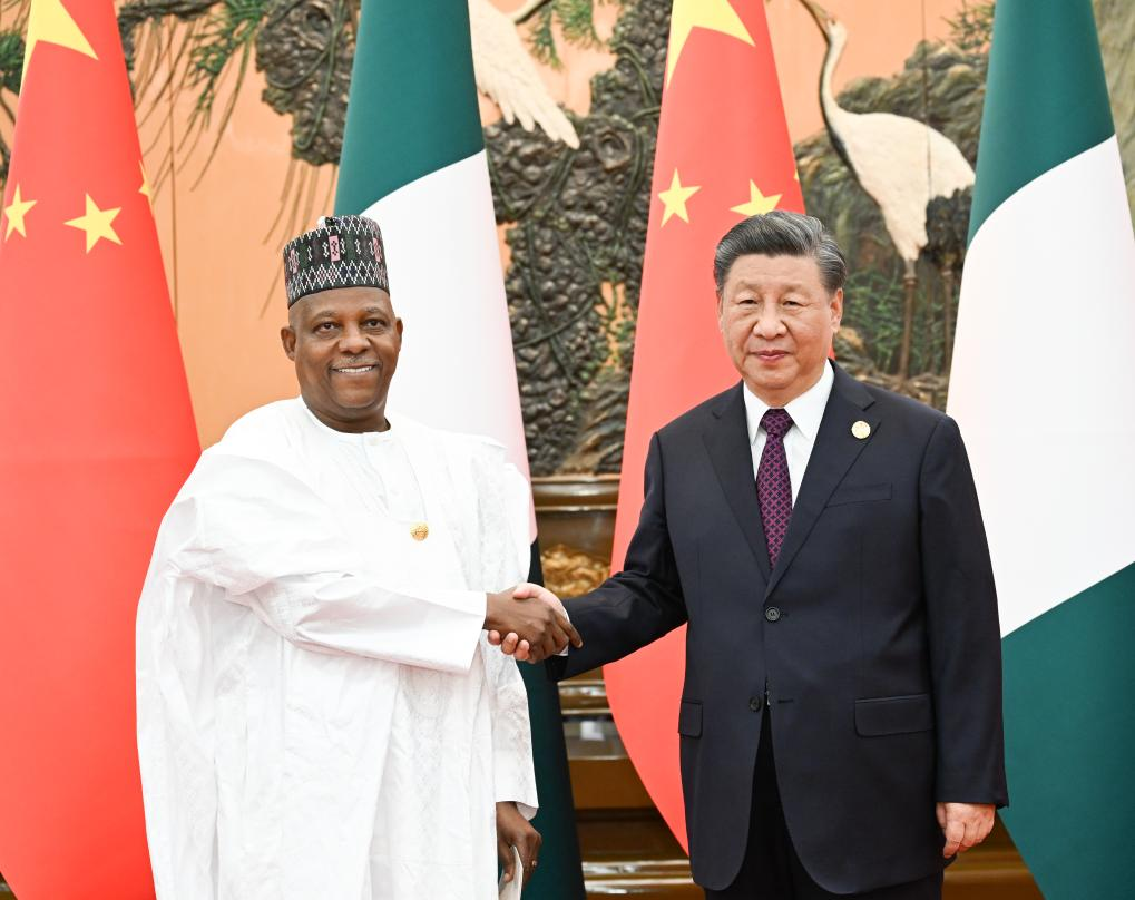 Chinese President Xi Jinping Meets Nigerian Vice President to Bolster Ties