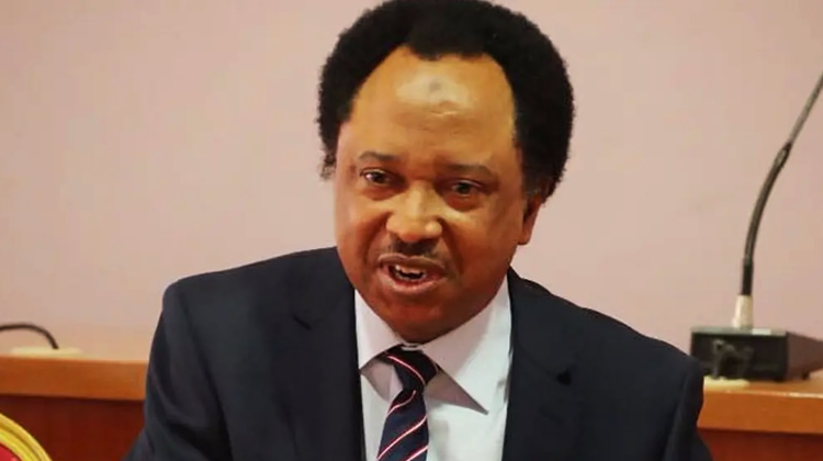 Shehu Sani Decries Judiciary as ‘Coffin of Democracy’ Following Plateau Governor’s Sack