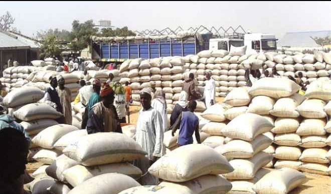 Kano Traders Deny Hoarding, Explain Temporary Storage of Grains