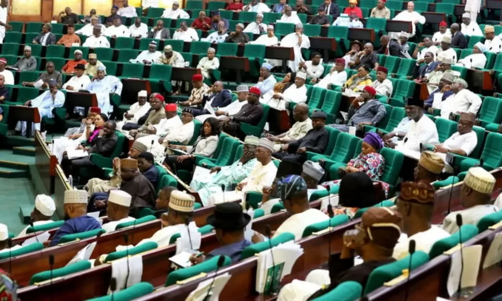 Parliamentary vs. Presidential System: Nigeria’s Governance Debate