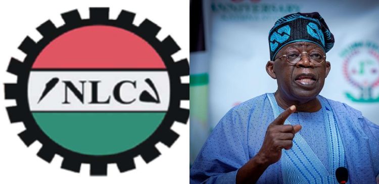 Tinubu Criticises Labour Union Asks Them to Wait Till 2027