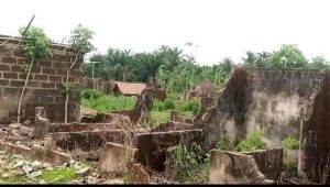 Investigation: How Local Dispute Over Oil Palm Plantation Led To Bloodshed In Cross River Erei Communities