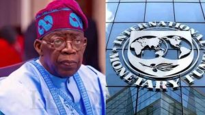 Tinubu’s Reinstated Fuel Subsidy Will Drain Almost Half Of Nigerian Oil Revenue In 2024, IMF Warns